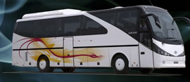  Commercial Bus